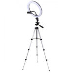 2298792951_w494_h473_koltsevaya-lampa-26-1