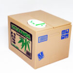 3193646709_w640_h640_3193646709